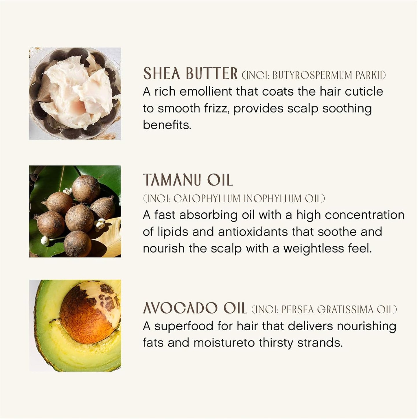 Organic Beauty - Hydrating Cream Hairbath Shampoo (10Oz) | Hydrates Dry, Coarse + Damaged Hair | Smooths Frizz, Restores Shine + Bounce | Sulfate-Free, Non-Toxic, Clean Haircare