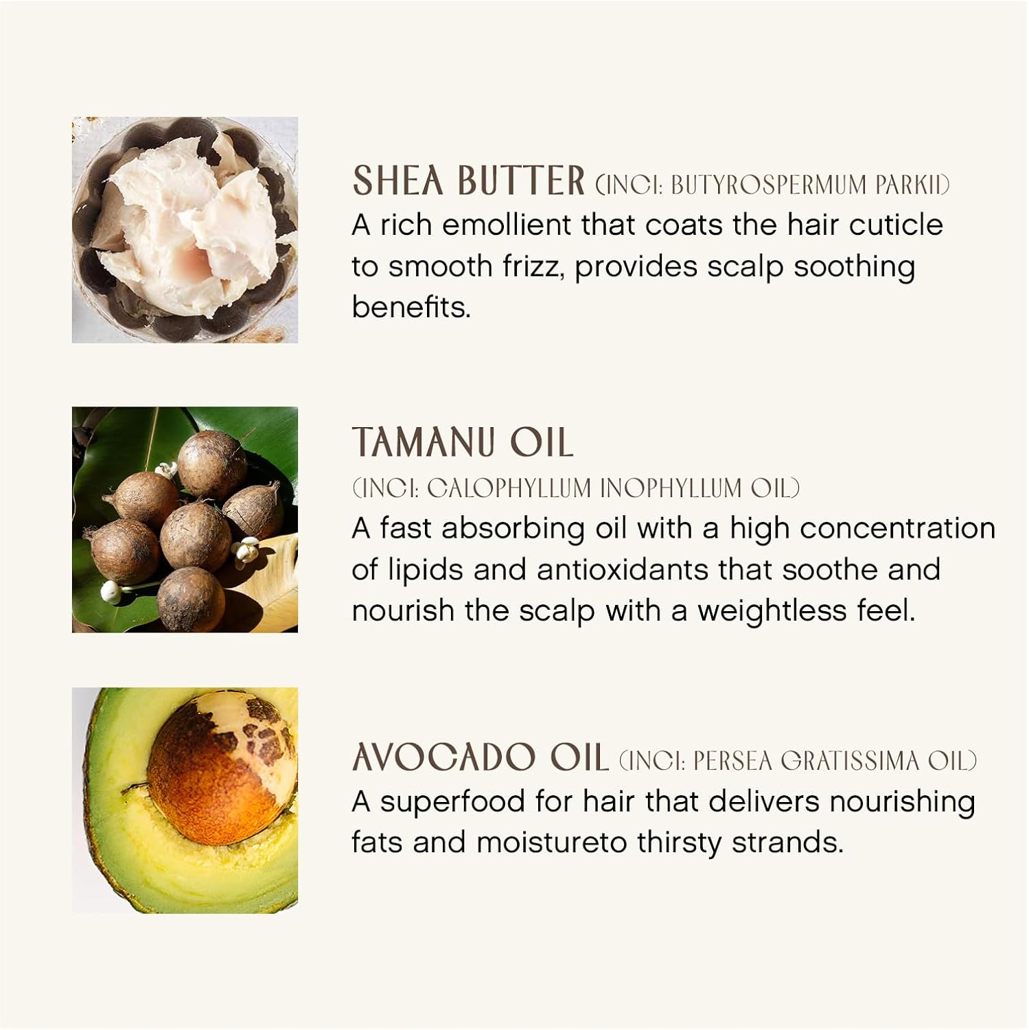 Organic Beauty - Hydrating Cream Hairbath Shampoo (10Oz) | Hydrates Dry, Coarse + Damaged Hair | Smooths Frizz, Restores Shine + Bounce | Sulfate-Free, Non-Toxic, Clean Haircare